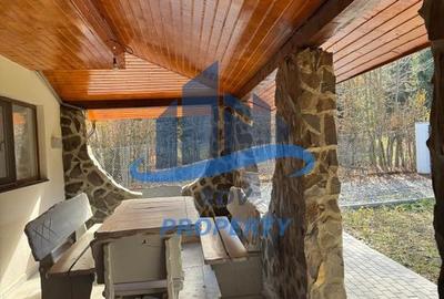 Pensiune/ Vila Valea Avrigului - 20