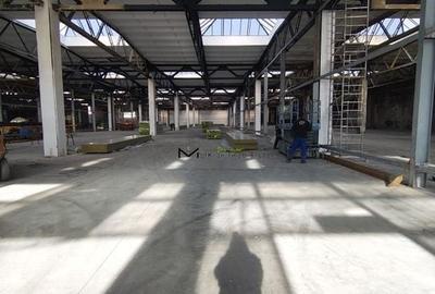 Hala de inchiriat 2500 mp - 3