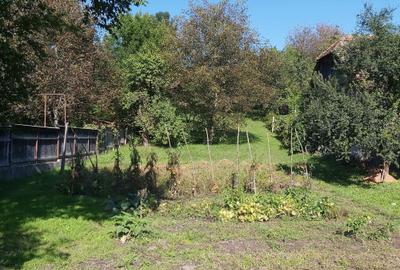 Casă cu 3 camere în Trei Sate - 3