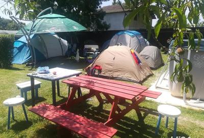 Casă cu 11 camere cu Teren 2200 Mp în Crișan - 7