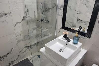 Inchiriez garsoniera de inchiriat-complet renovata si utilata-zona Far - 4