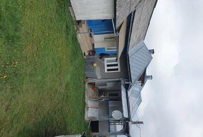 Casă cu 3 camere cu Teren 800 Mp în Beliș - 2