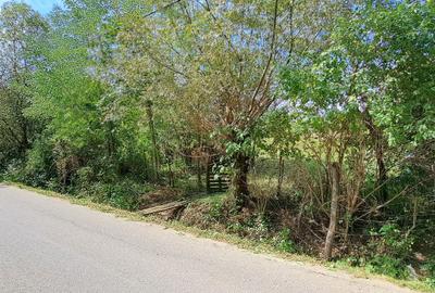 Teren de 4300 mp, în Ciurila - 5