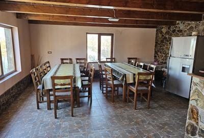 Casa de vacanta cu 6 camere + teren suprafata 7.384 mp, Bradet, Bihor - 13