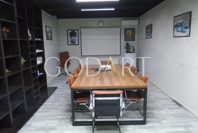 Proprietate Industrială de Vânzare | Poziție Premium - 35