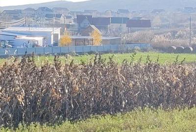 Teren de 1630 mp, în Luizi-Călugăra - 5
