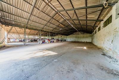 Cladire industriala de vanzare cu potential 3,5 ha in Batania - 26