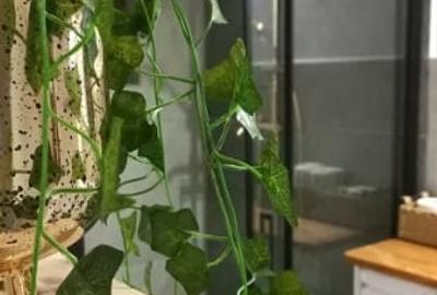 UNIRII Nerva TRAIAN Calarasilor,parter/8,DECOMANDAT,Amenajat,CENTRALA,mobilat. - 7