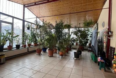 Casă cu Teren 980 Mp în Berceni - 6