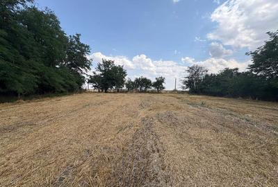 Teren intravilan 2580 mp - Hagiesti - 1