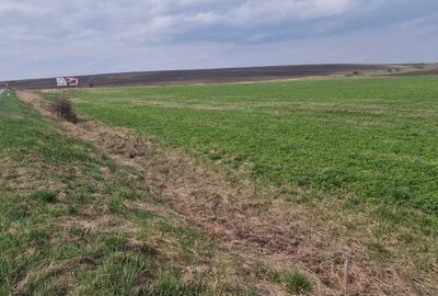 Spațiu comercial, în Copăceni - 4