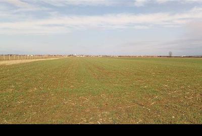 Teren de 2600 mp, în Sântion - 1