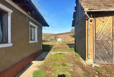 Casa de vanzare in loc. Iclod jud. Cluj cu gradina de 2000 mp - 2