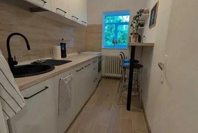 Garsoniera superba Iancului - 8