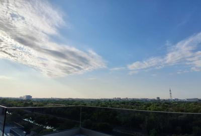 Penthouse cu 9 camere decomandat în Splaiul Unirii - 39