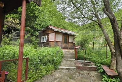 Casa renovabila din lemn, teren 830 mp - 3