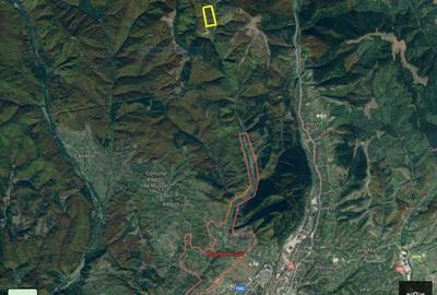 Teren de 63000 mp, în Bughea de Sus