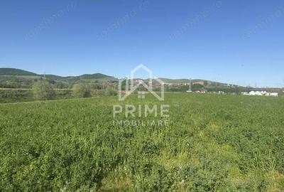 Teren de 5800 mp, în Central