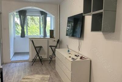 Colentina teiul doamnei metrou obor - 3