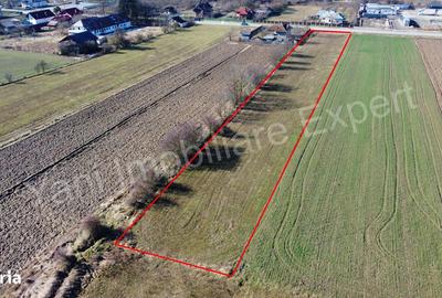 Teren de 3657 mp, în Băiculești - 4