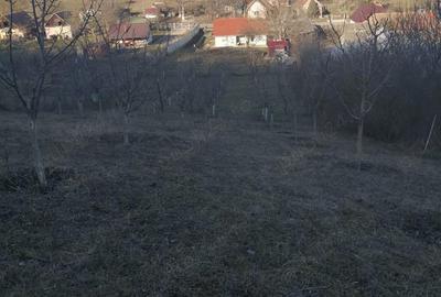 Casă cu 2 camere cu Teren 2984 Mp în Avrămești - 2