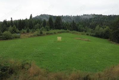 Teren de 5023 mp, în Voroneț - 5