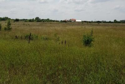 Teren Construcții intravilan de 3515 mp, în Ronaț