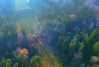 Teren constructii 10,000mp Timisul de Jos , PARCELABIL min 250 mp - 5