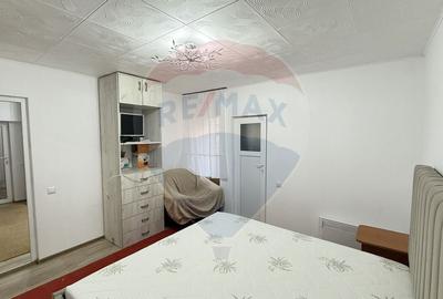 Casa / Vila cu 3 camere de inchiriat in zona Giurgiului - 3