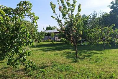 Teren de 50000 mp, în Zorile - 4