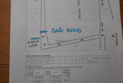 Teren Construcții intravilan de 2089 mp, în Schitu Tarcău - 11