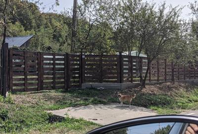 Vand proprietate in suprafata totala de 4283 mp in comuna Cotmeana - 6