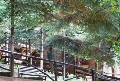 DE VANZARE Pensiune | 12 camere | Bisoca / Buzau - 13