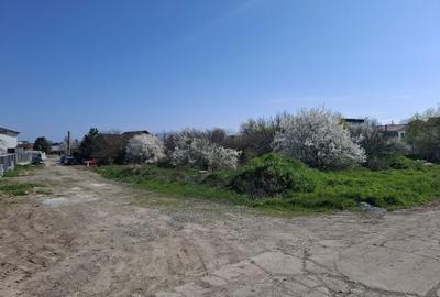 Spațiu comercial, în Agigea - 4