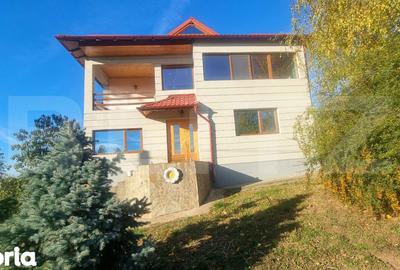 Casă cu 7 camere cu Teren 775 Mp în Cocorăștii Colț - 17