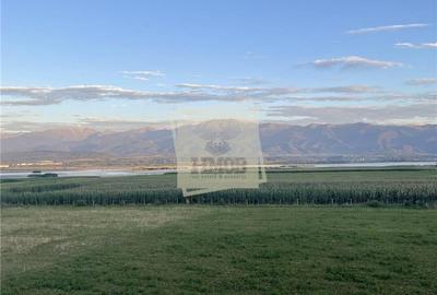 Vila 302 mp cu 9 camere 4 bai garaj si 700 mp teren in Bradu - 3