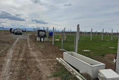 Spațiu comercial, în Șelimbăr - 4