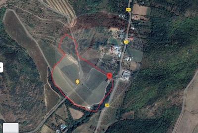 Oportunitate de investitie - Teren de vanzare I 4 ha I certificat ECO - 2