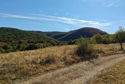 Teren de 35400 mp, în Sfodea - 4