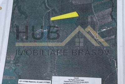 Oportunitate Investitie | Glajarie - Rasnov | Extravilan | 29.300mp - 6