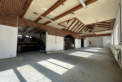 Spatii, vad, birouri, medical, hala, teren, de la 25mp la 500mp, zona ISU Copou - 23