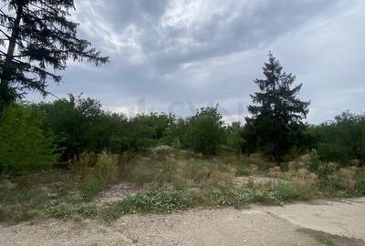 Teren Construcții intravilan de 100000 mp, în Central - 4