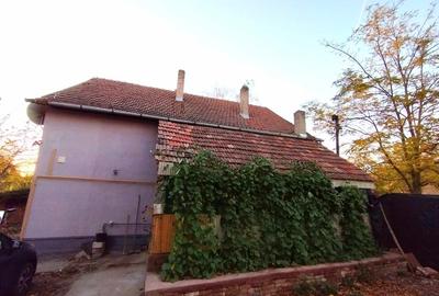 Casă cu 5 camere cu Teren 700 Mp în Turnu - 6