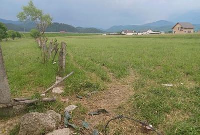 Teren Construcții intravilan de 10500 mp, în Exterior Nord - 6