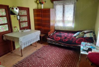 Vand casa (2 corpuri+ ograda) + 2 terenuri in Visca, Jud. Hunedoara - 1