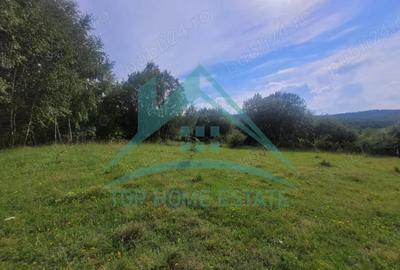 Teren pentru cabana pensiune zona Lac Micesti! - 2