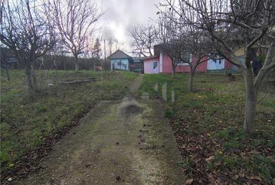 Teren de 750 mp, în Bucium