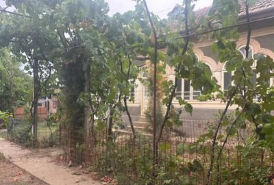 Casă cu 7 camere cu Teren 2023 Mp în Coșoveni - 1