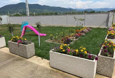 Casă cu 3 camere cu Teren 600 Mp în Săsar - 3