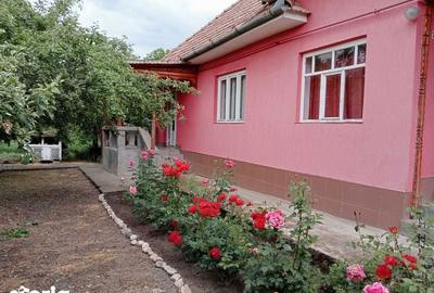 Casă cu 3 camere cu Teren 90 Mp în Ațintiș
